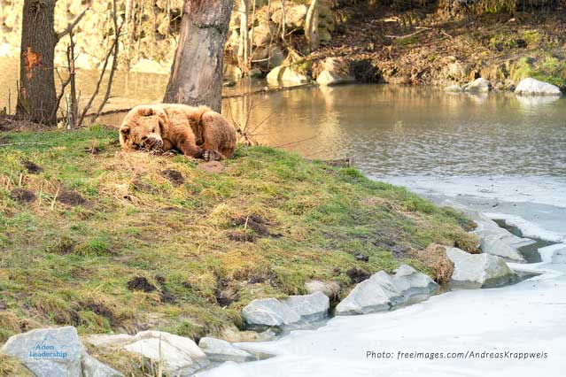Are You Hibernating?