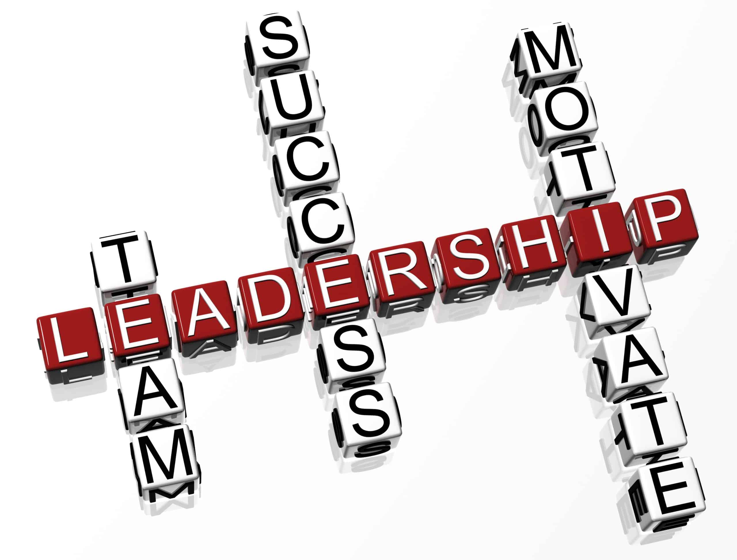 What Can You Learn From The Leadership Development Series?