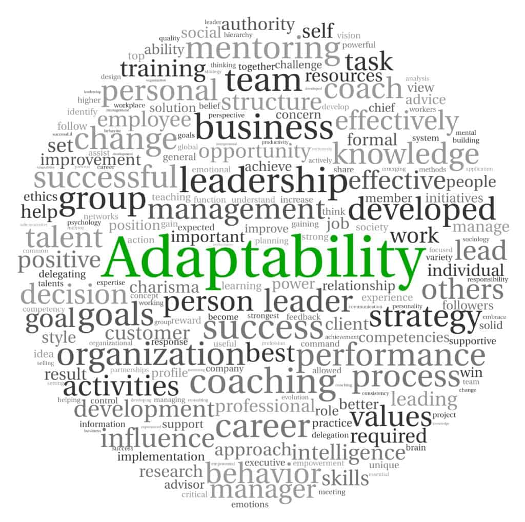 Adaptive Leadership In Changing Times
